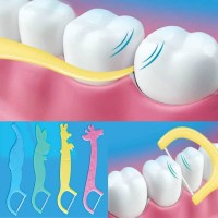 Tooth Thread 50 pieces in a pack